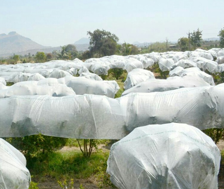 UV TREATED NONWOVEN TEXTILES